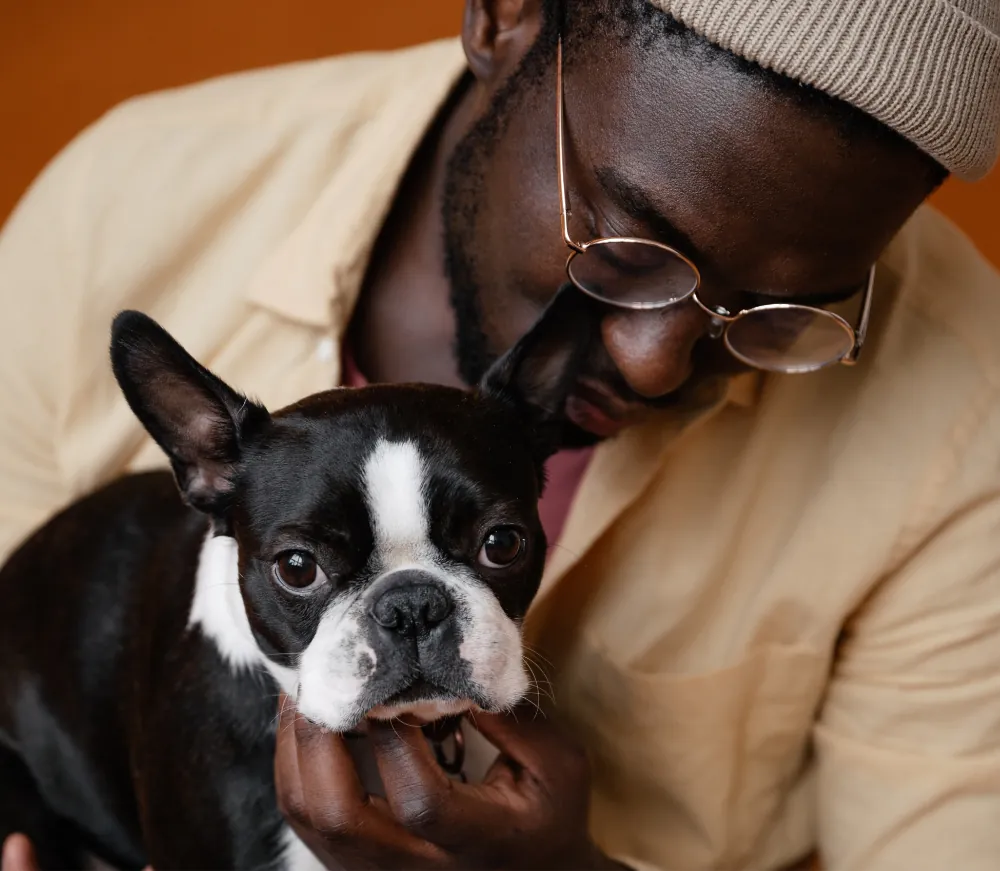 article thumb 3 optimized