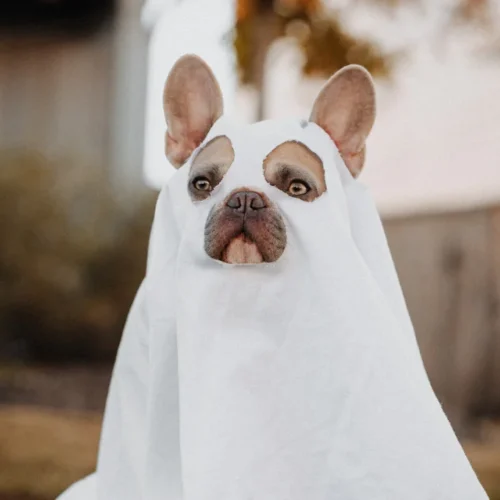 product thumb 5 optimized